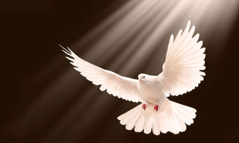 Symbol of the Holy Spirit