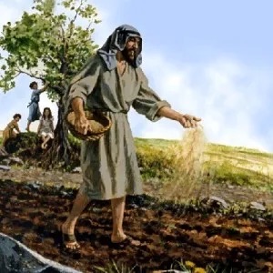 Sower of seeds 