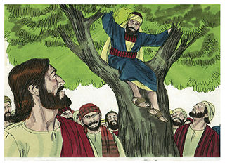 Zacchaeus on the sycamore tree